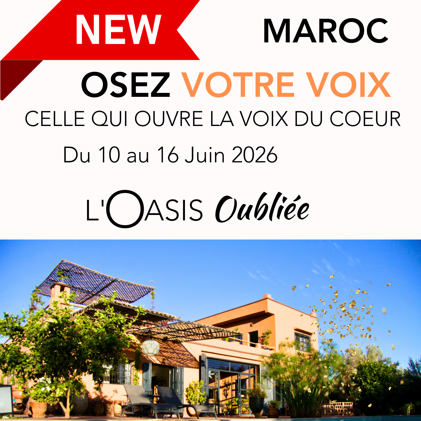 GABARIT SITE KEA MUSIC VIGNETTES