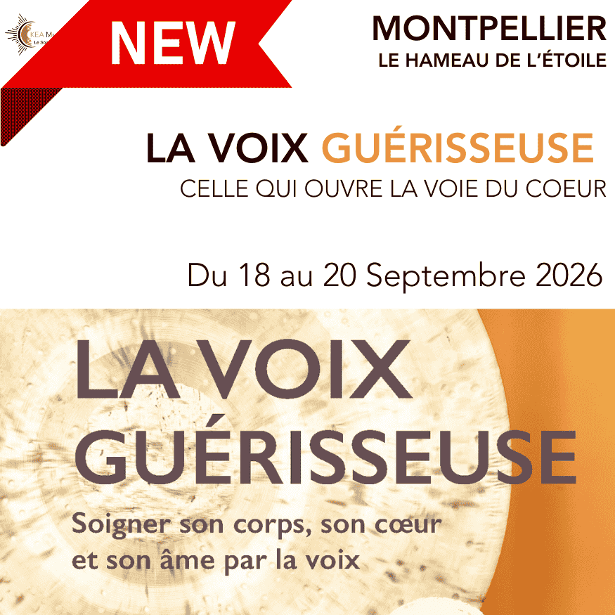 GABARIT SITE KEA MUSIC VIGNETTES (2)